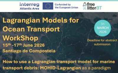 Workshop: Lagrangian Models for Ocean Transport