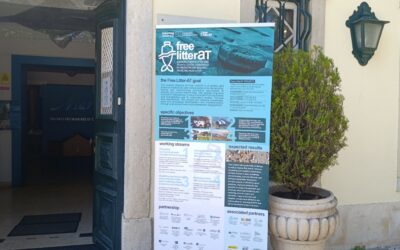 VI Steering Committee (SC) Meeting, 23-24 March 2026 – Cascais, Portugal